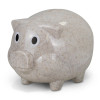 Wheat Husk Piggy Banks Natural